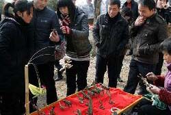 �ƻ�֮һ���ر�