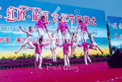 �ƻ�֮ʮ�����Ӽ�