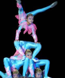 �ƻ�֮ʮ�����Ӽ�